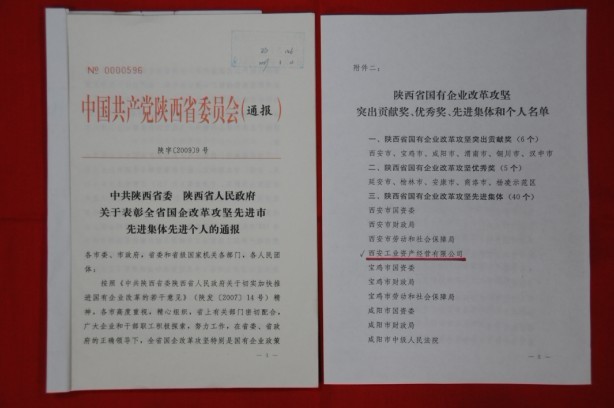 2009年2月，被陜西省委、省政府授予陜西省國有企業(yè)改革攻堅(jiān)先進(jìn)集體